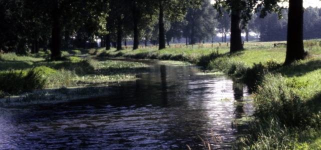 REK „Elm-Schunter“: Handlungsfeld 2