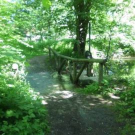 Aufwertung des natürlichen und landschaftskulturellen Erbes am Beispiel des Sandbaches in Gardessen