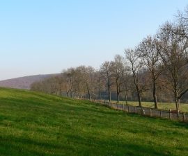 Lückenschluss des Wegenetzes im westlichen Elm in der Gemarkung Lucklum und Erkerode