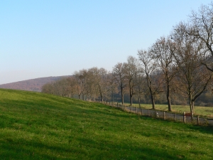 Lückenschluss des Wegenetzes im westlichen Elm in der Gemarkung Lucklum und Erkerode