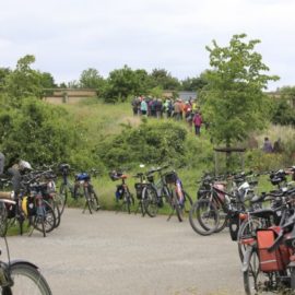 Umsetzungskonzept zur Verbesserung der Radverkehrsinfrastruktur in der Stadt Königslutter am Elm Umsetzungskonzept zur Verbesserung der Radverkehrsinfrastruktur in der Stadt Königslutter am Elm