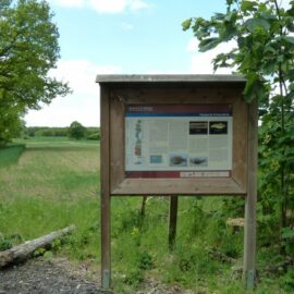 Einrichtung Geo-Info-Punkt „Jura-Meer