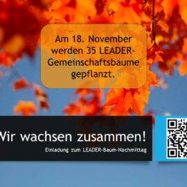 LEADER-Baum-Nachmittag LEADER-Baum-Nachmittag