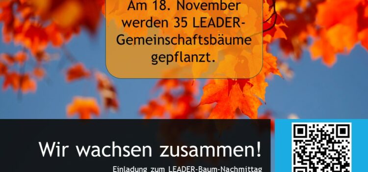 LEADER-Baum-Nachmittag LEADER-Baum-Nachmittag
