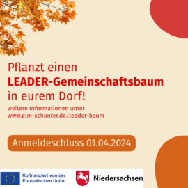 Pflanzt einen LEADER-Gemeinschaftsbaum in eurem Ort! Pflanzt einen LEADER-Gemeinschaftsbaum in eurem Ort!